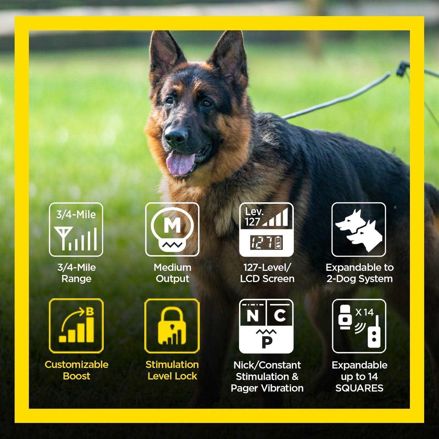 Dogtra ARC Handsfree Plus Boost & Lock - Healthber