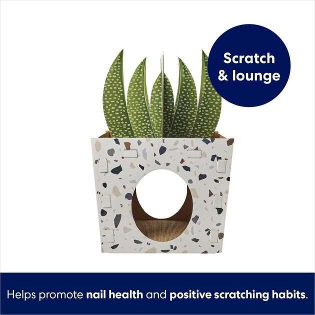 Frisco Potted Succulent Cardboard Cat House - Healthber