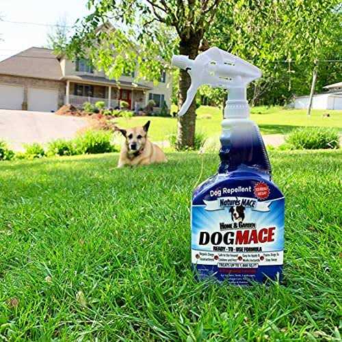 Nature’s Mace Dog Mace Dog Repellent and Training Tool - Healthber