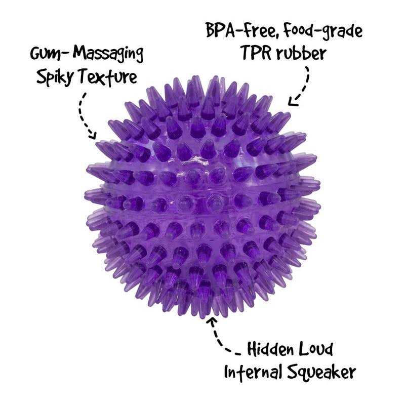 Gnawsome Squeaker Ball Dog Toy - Healthber