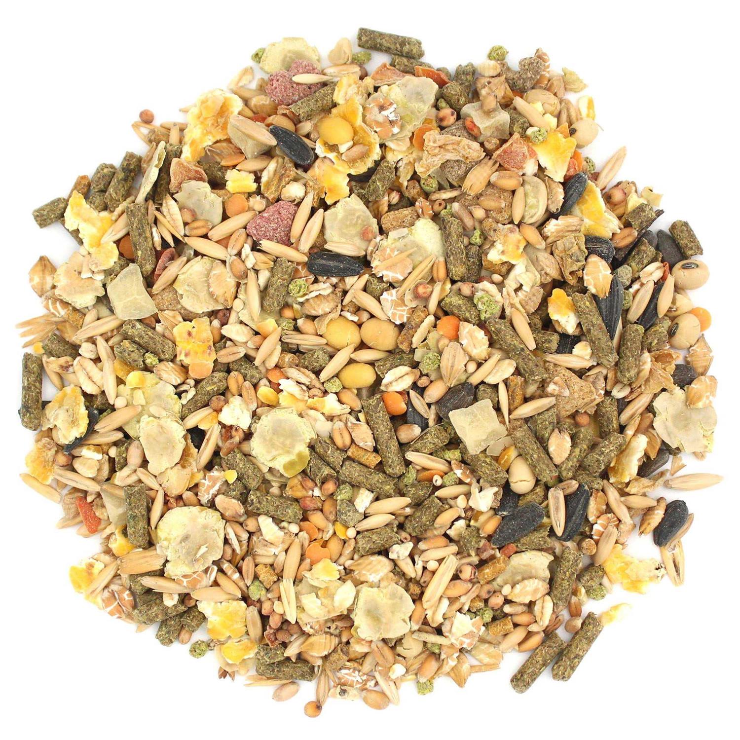 Sunseed Vita Prima Dwarf Hamster Food - Healthber
