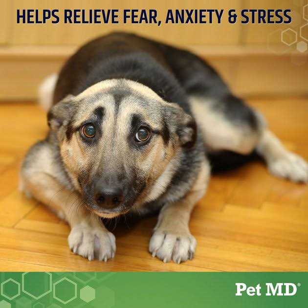 Pet MD Calming Hemp Calming Supplement Soft Chew for Dogs - Healthber