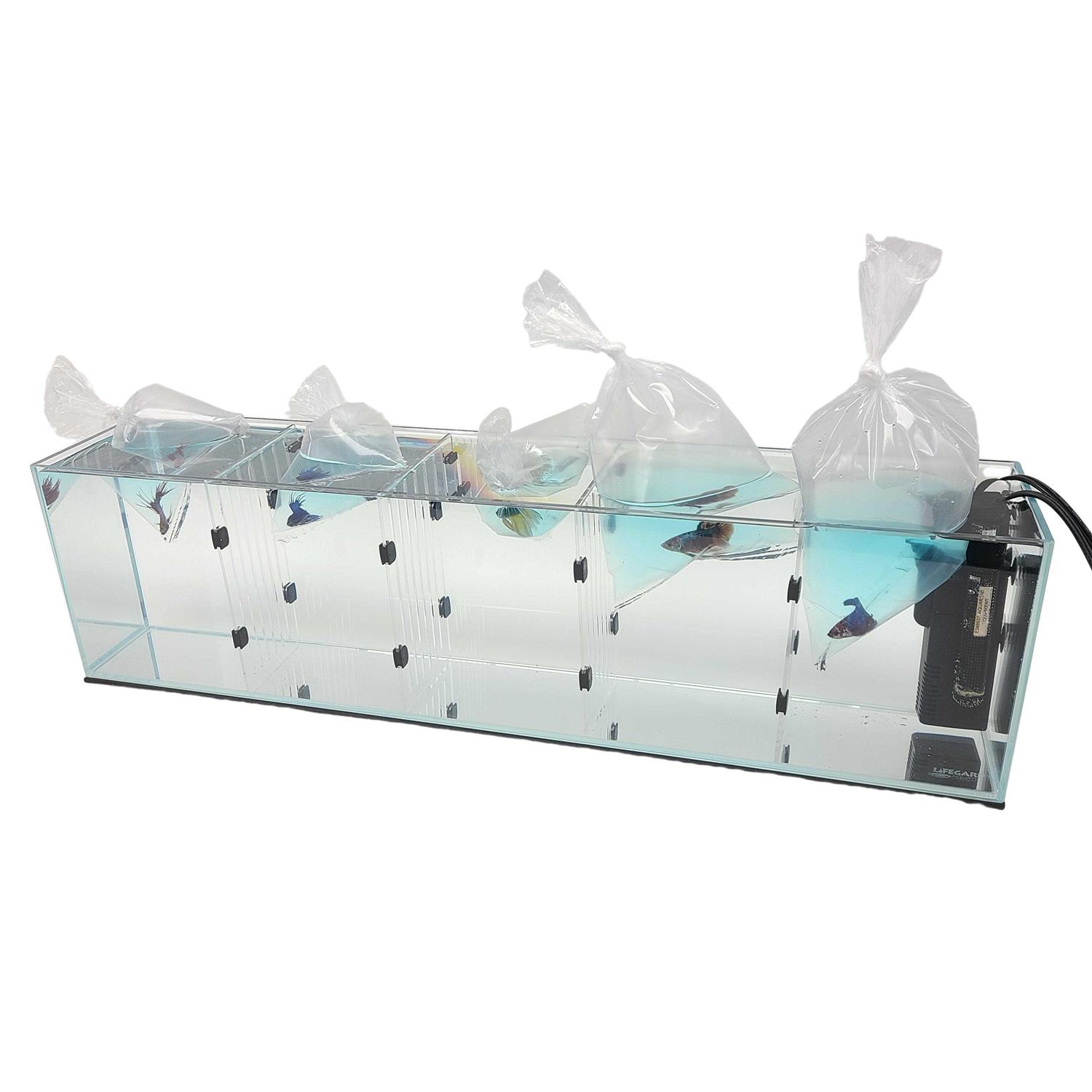 Lifegard Aquarium R460041 & R460081 Acrylic - Healthber