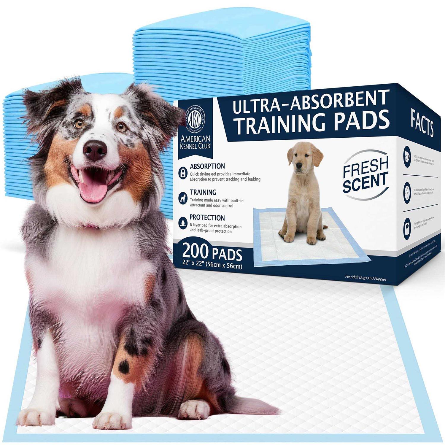 American Kennel Club AKC Puppy Training Pads - Healthber
