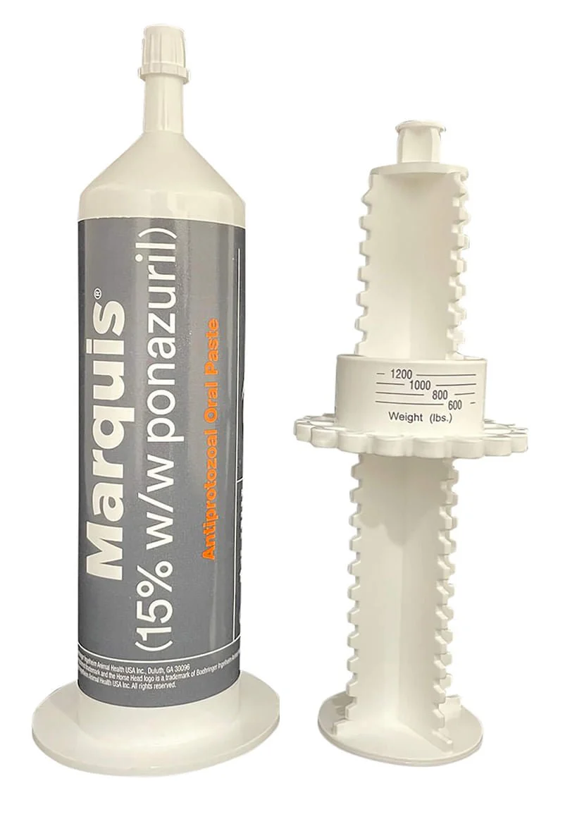 Rx Marquis (15% w/w ponazuril) Antiprotozoal Oral Paste for Horses - Healthber