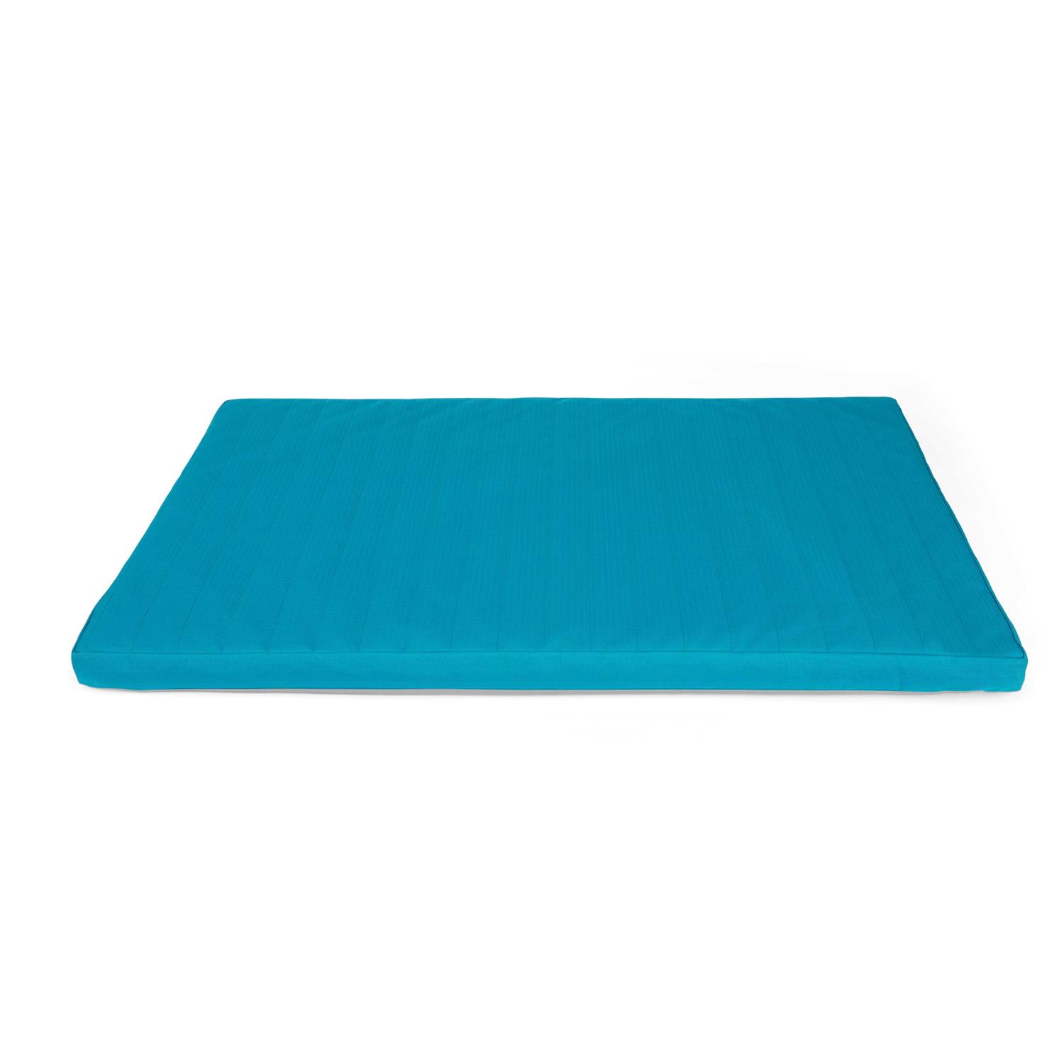 EveryYay Durable 2 Teal Dog Mat - Healthber