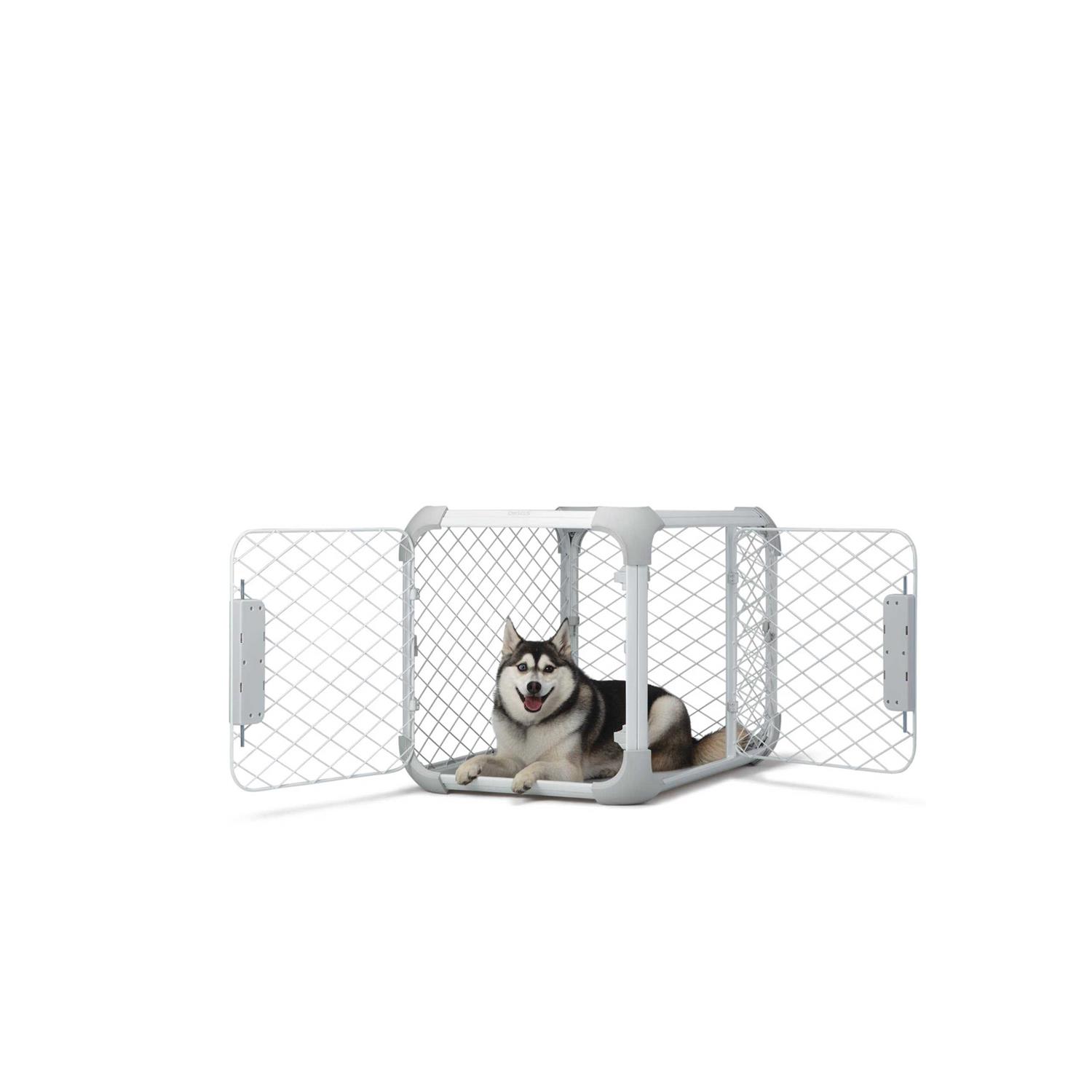 Diggs Evolv Dog Crate - Healthber