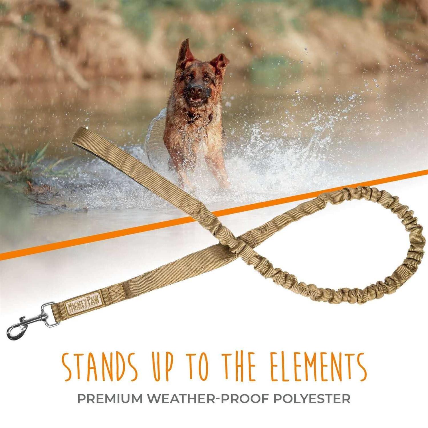 Mighty Paw Dual Handle Dog Leash Two Handles - Healthber