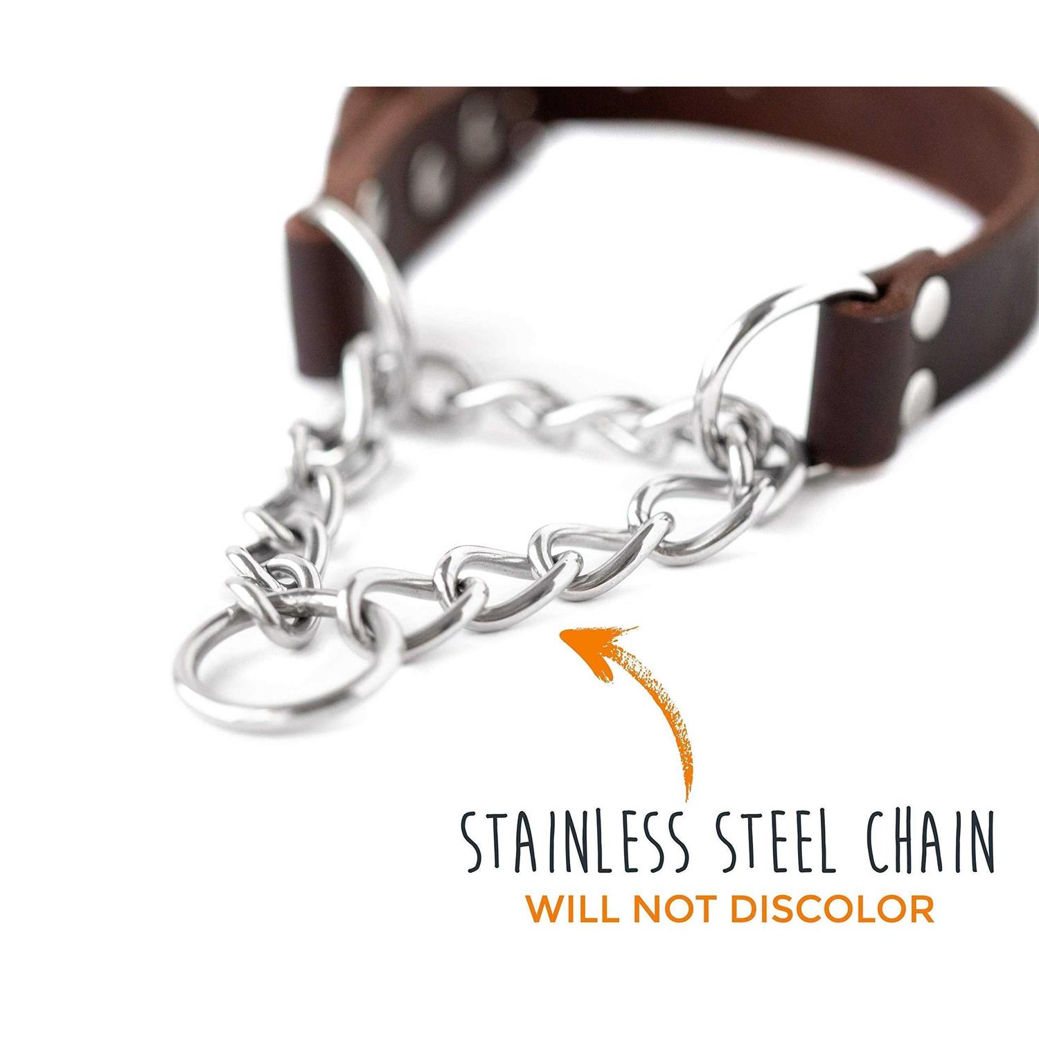Mighty Paw Leather Collar Martingale Collar - Healthber