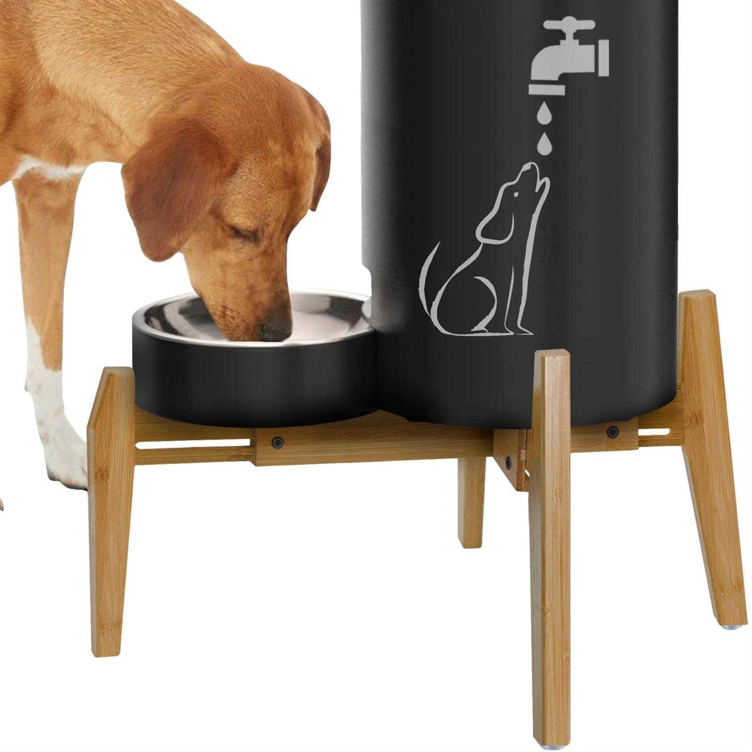 ZPirates Stand for Dog Water and Food Dispensers - Healthber