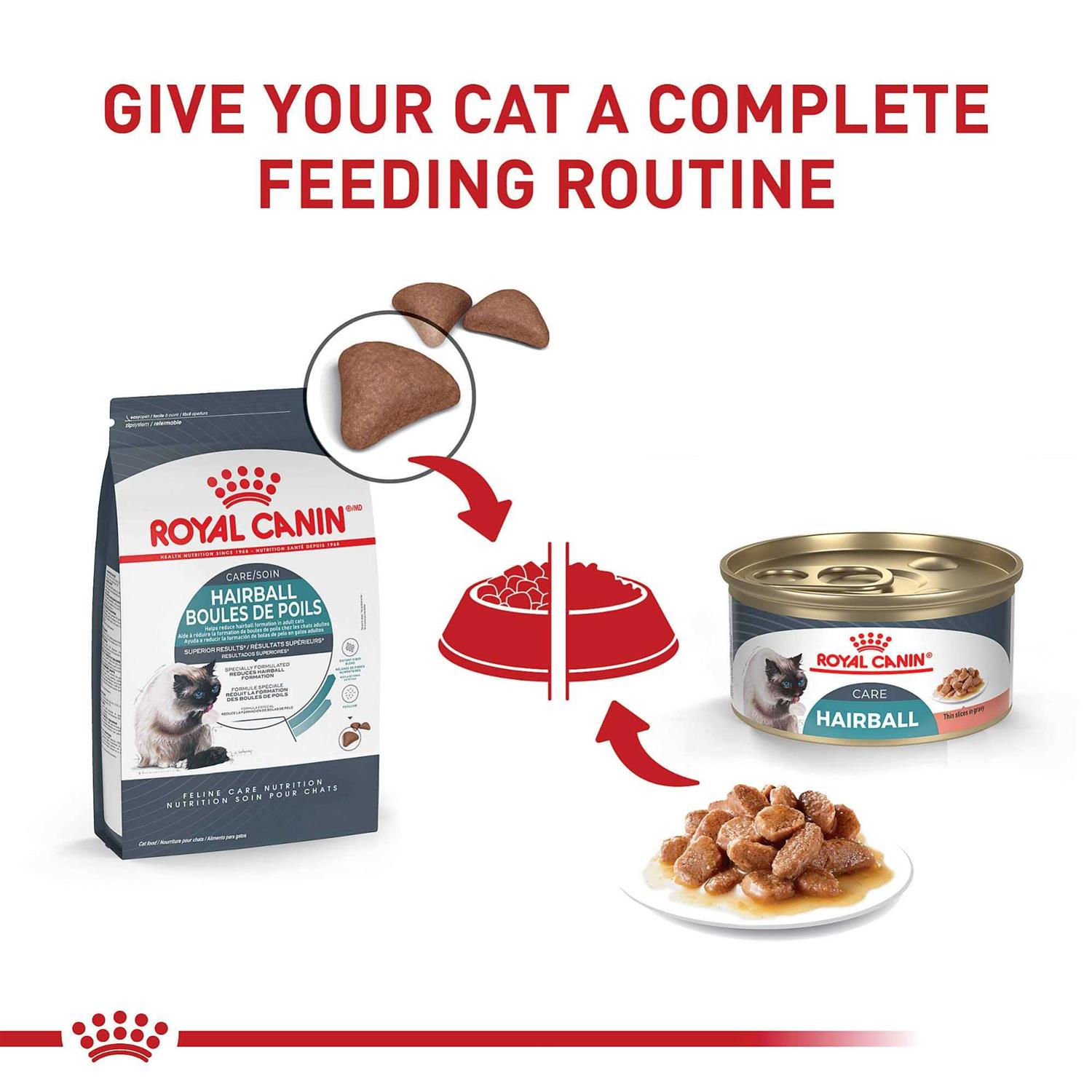 Royal Canin Indoor Intense Hairball 34 Cat Dry Food - Healthber