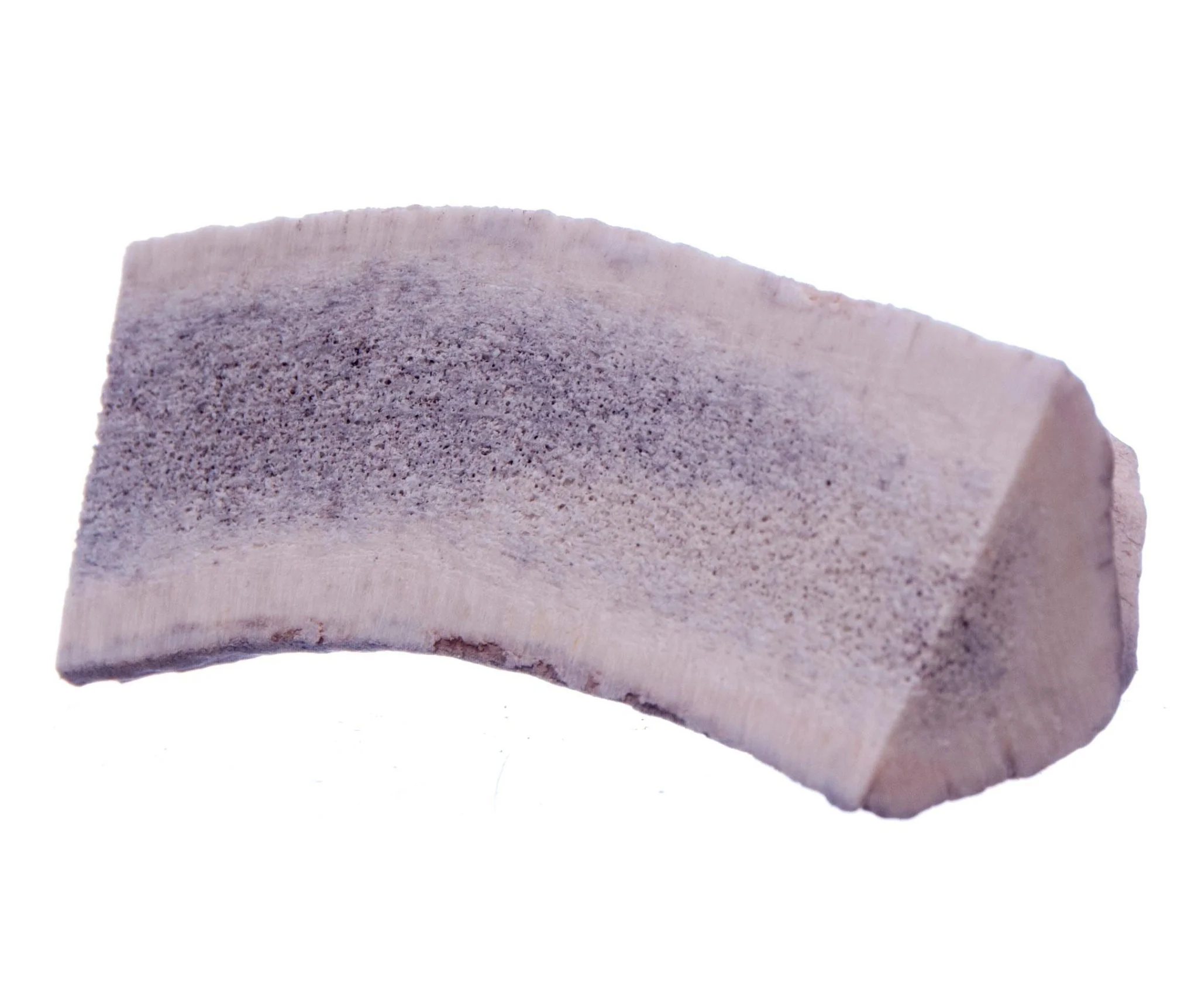 Split Antlerz (The Trew) - Healthber