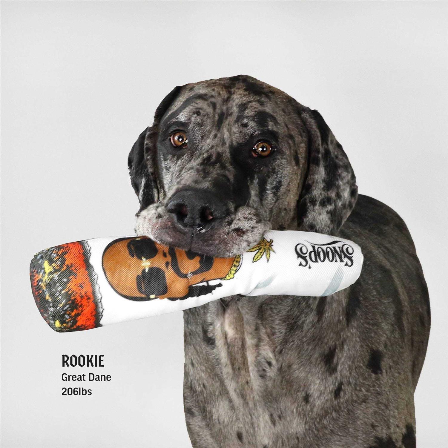 Snoop Doggie Doggs Doobie Dog Toy - Healthber
