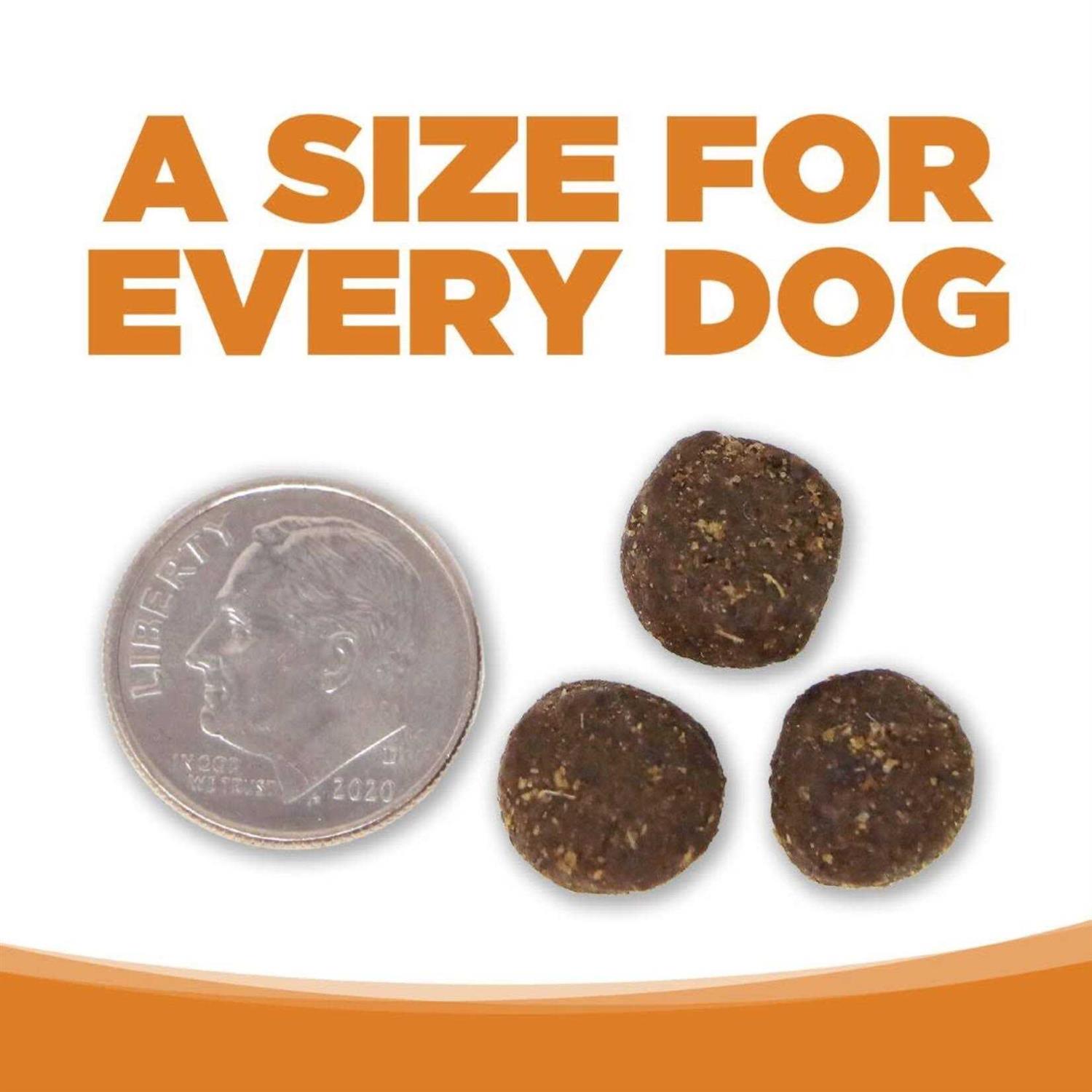 NutriSource Lamb Rice Dry Dog Food - Healthber