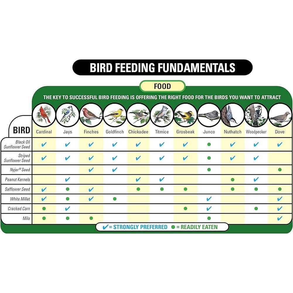 Wagner’s Nyjer Seed Wild Bird Food - Healthber