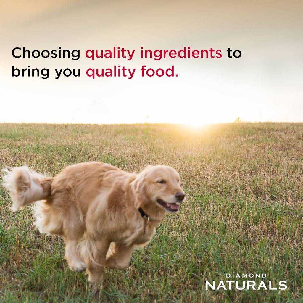 Diamond Naturals Beef Dinner Formula Adult Wet Dog Food - Healthber