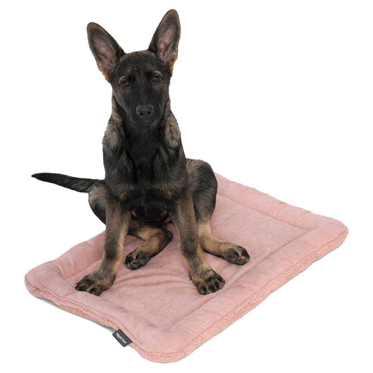 West Paw Big Sky Nap - Healthber