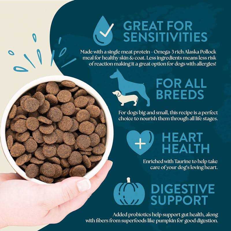 Earthborn Holistic Venture Limited Ingredient Alaska Pollock Meal & Pumpkin Grain-Free Dry Dog Food - Healthber