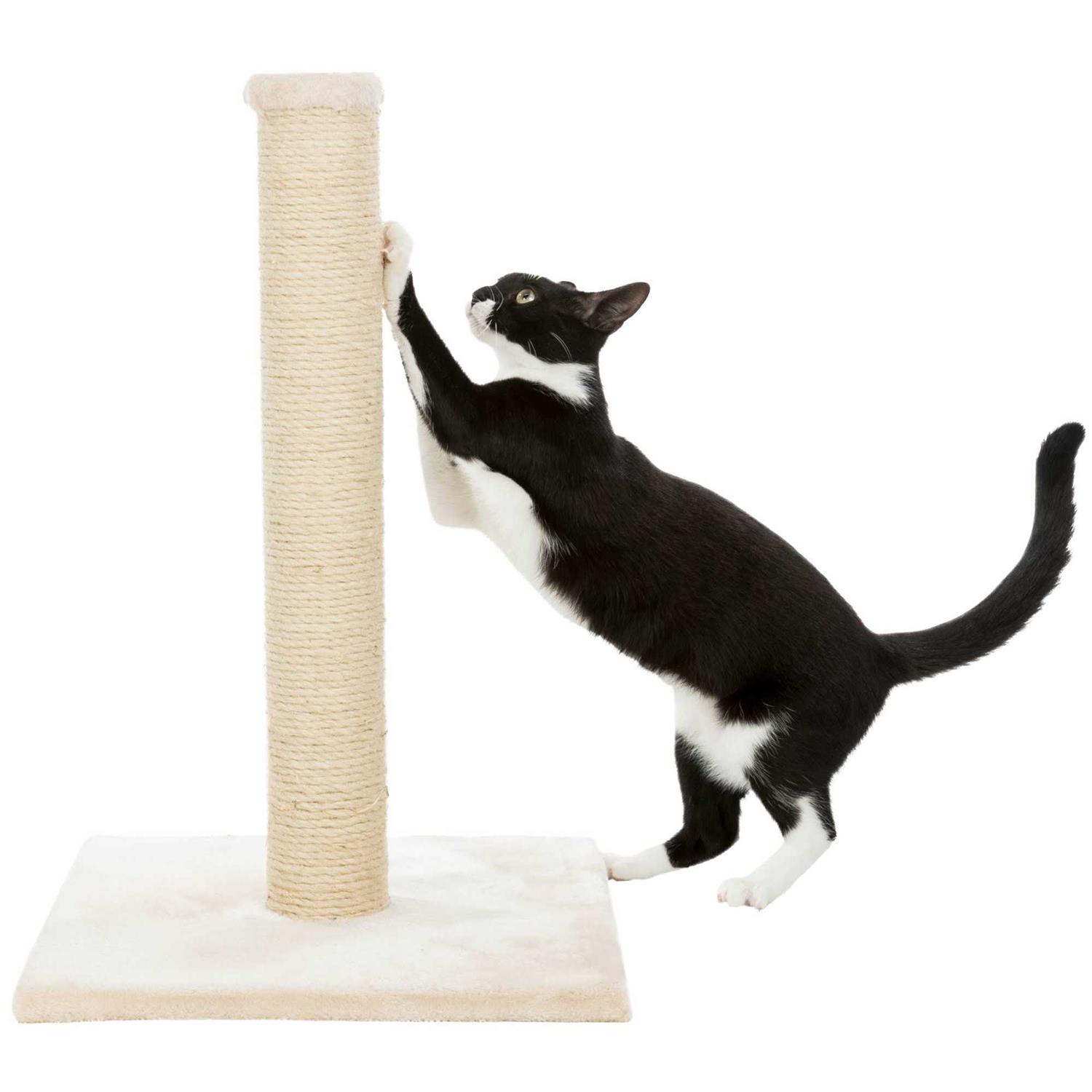 Trixie Parla Scratching Post - Healthber