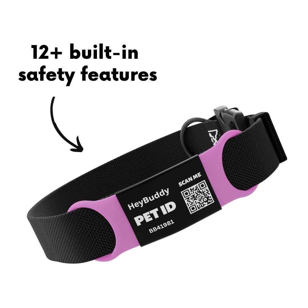 Slide Series Noiseless QR Code Pet Tag - Healthber