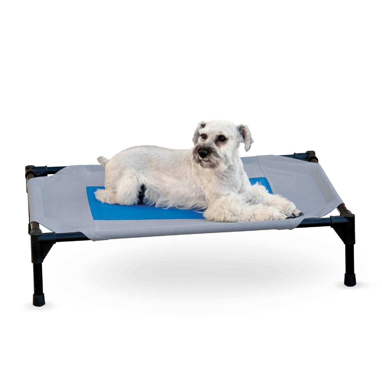 K H Pet Products Coolin’ Pet Cot - Healthber