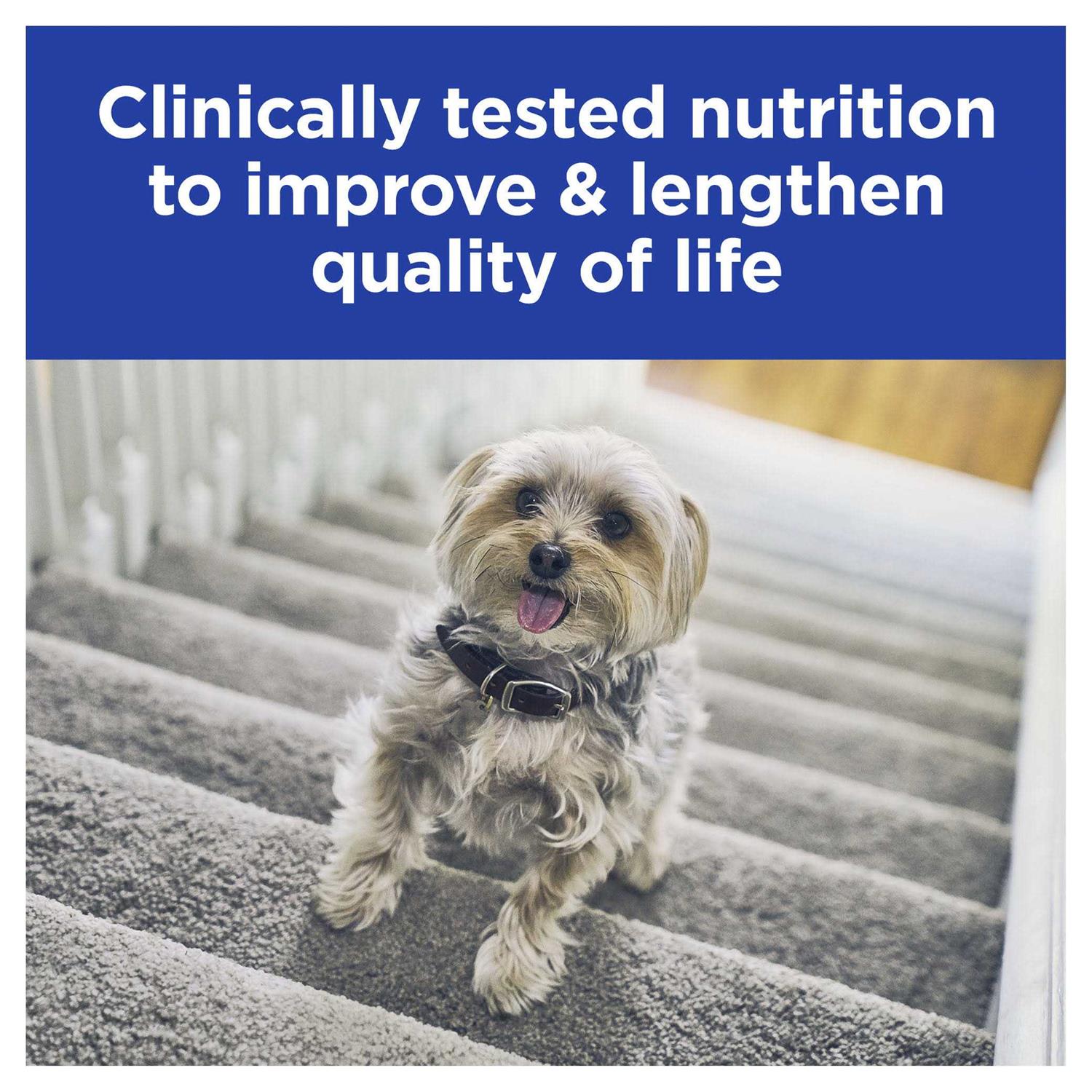 Hill’s Prescription Diet k/d Kidney Care with Chicken Canned Dog Food - Healthber