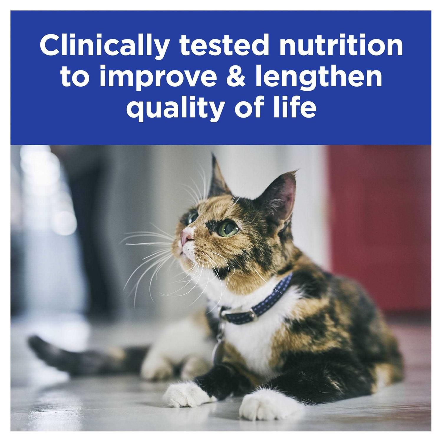 Prescription Diet k/d Kidney Care Cat Canned Food - Healthber