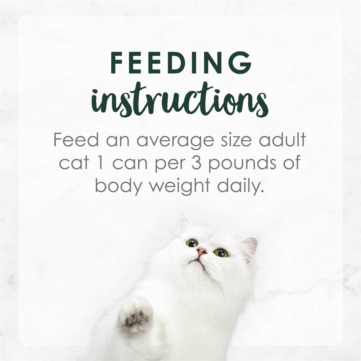 Purina Fancy Feast Gravy Wet Cat Food - Healthber