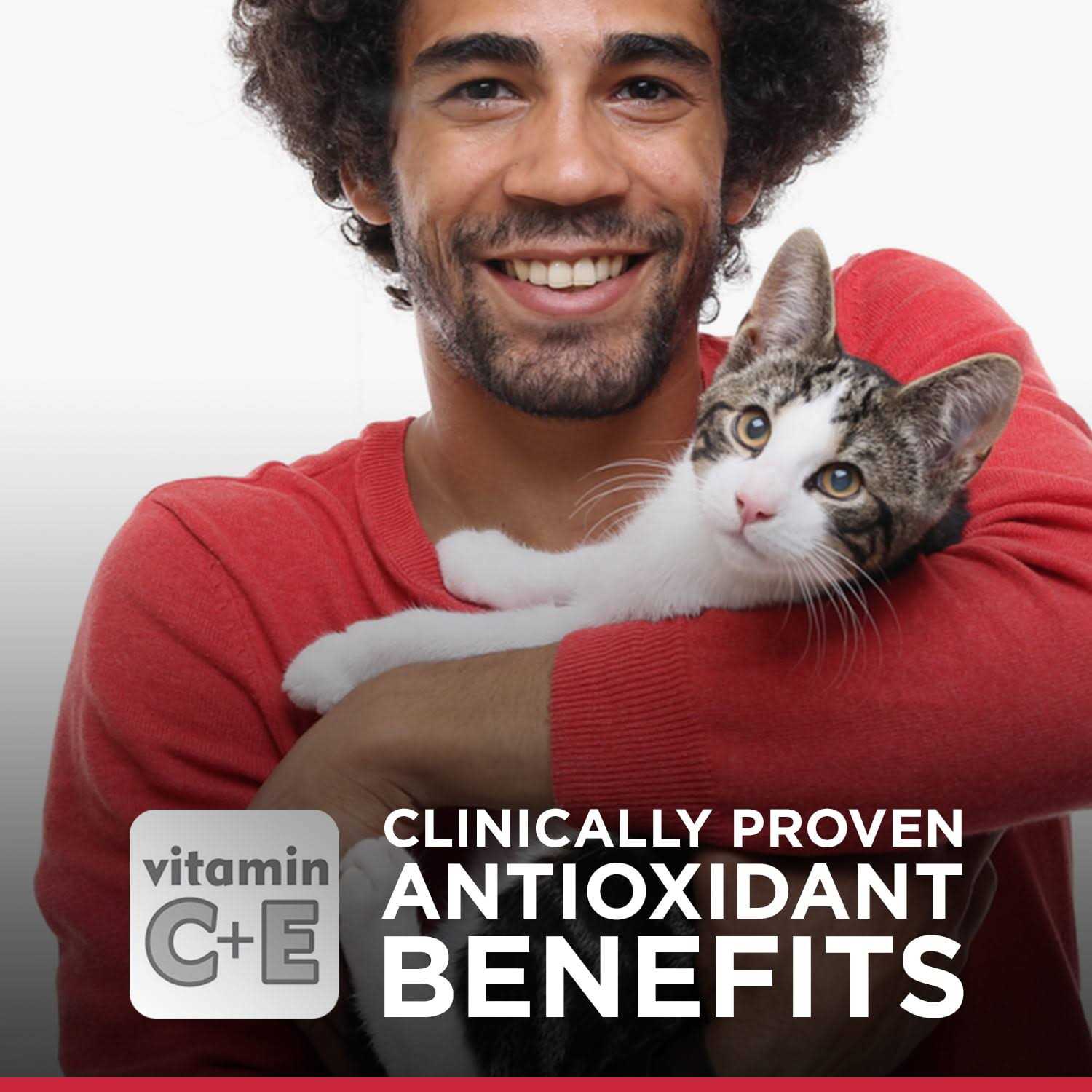 Science Diet Urinary & Hairball Control Canned Adult Cat Canned Food - Healthber