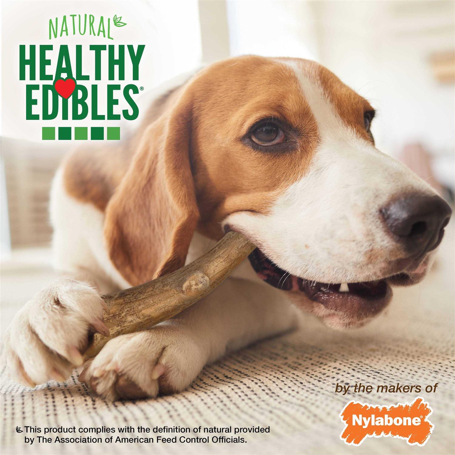 Nylabone Healthy Edibles Wild Antler Natural Long Lasting Venison Dog Chew Treats - Healthber