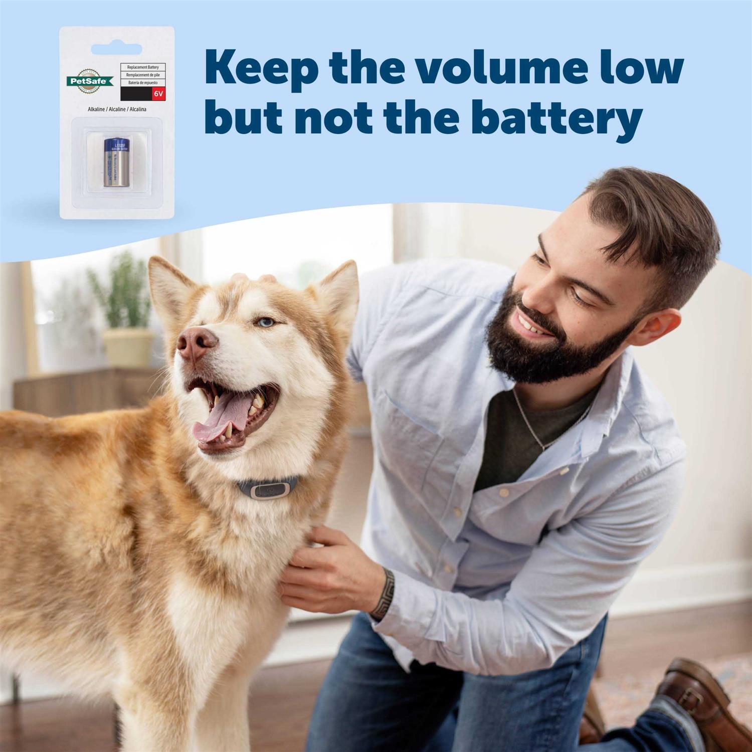 PetSafe Bark Collar - Healthber