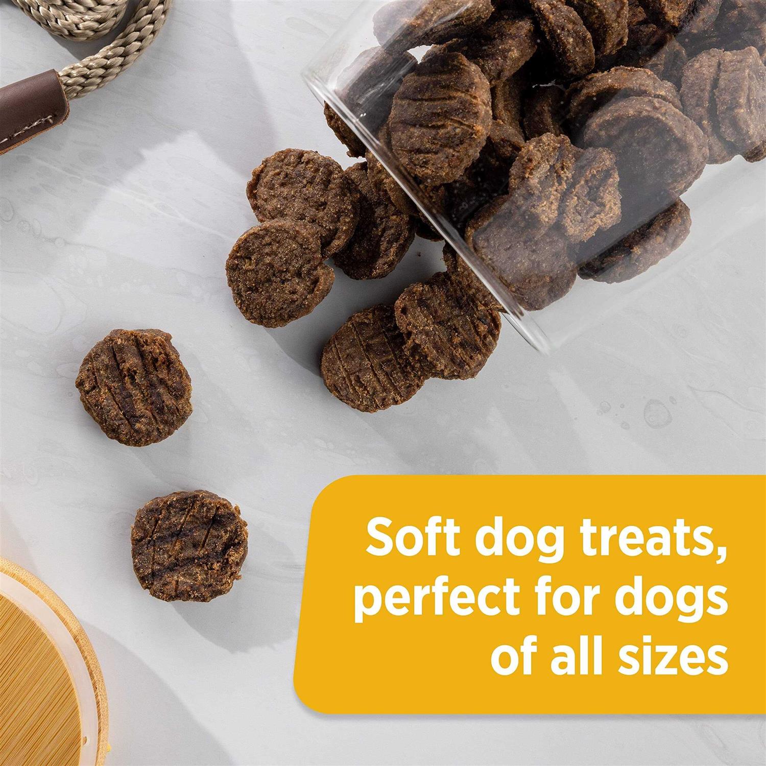 Rachael Ray Nutrish Beef & Bison Burger Bites Dog Treats - Healthber