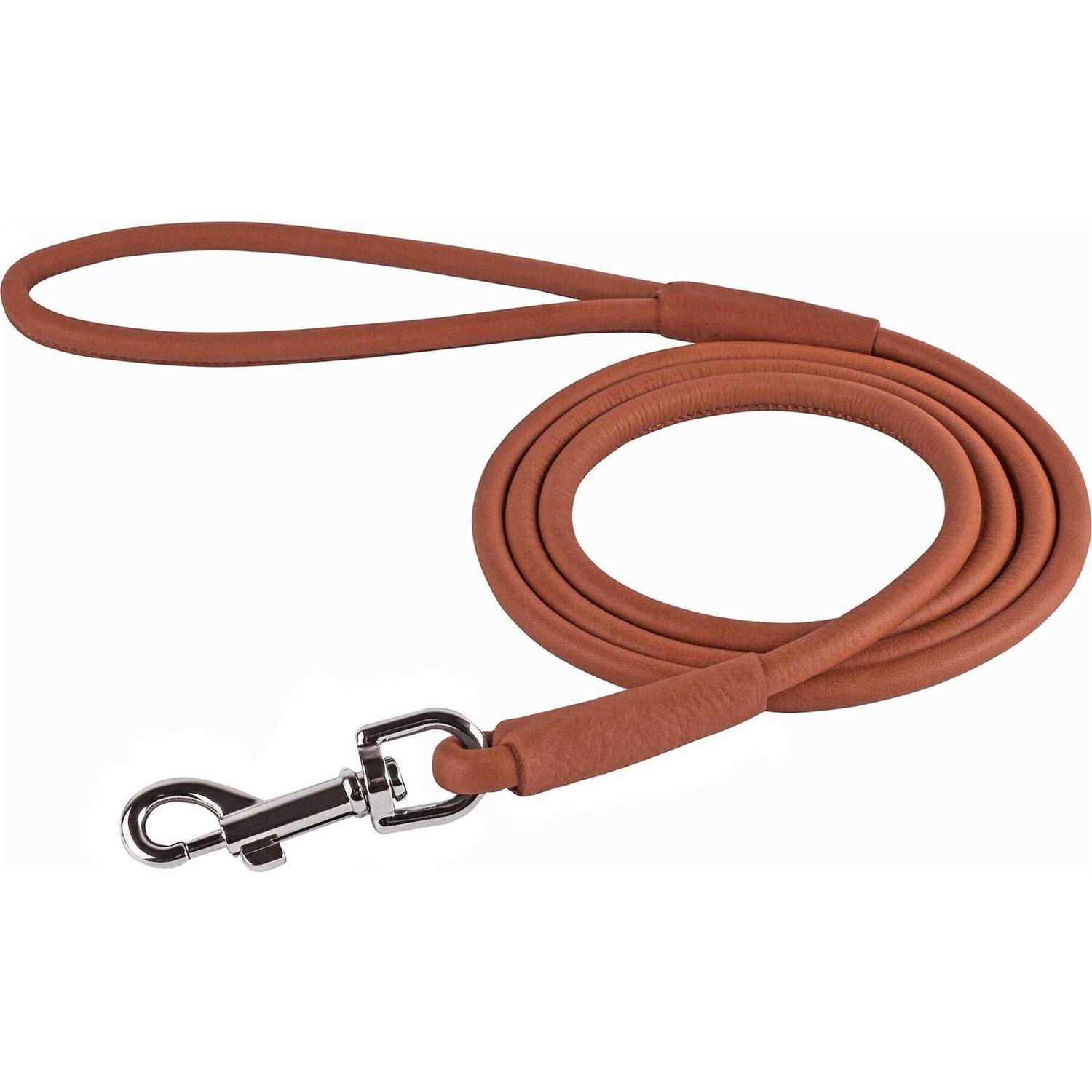 CollarDirect Rolled Leather Dog Leash 4ft Soft Padded Training Leather Dog Lead 6ft - Healthber