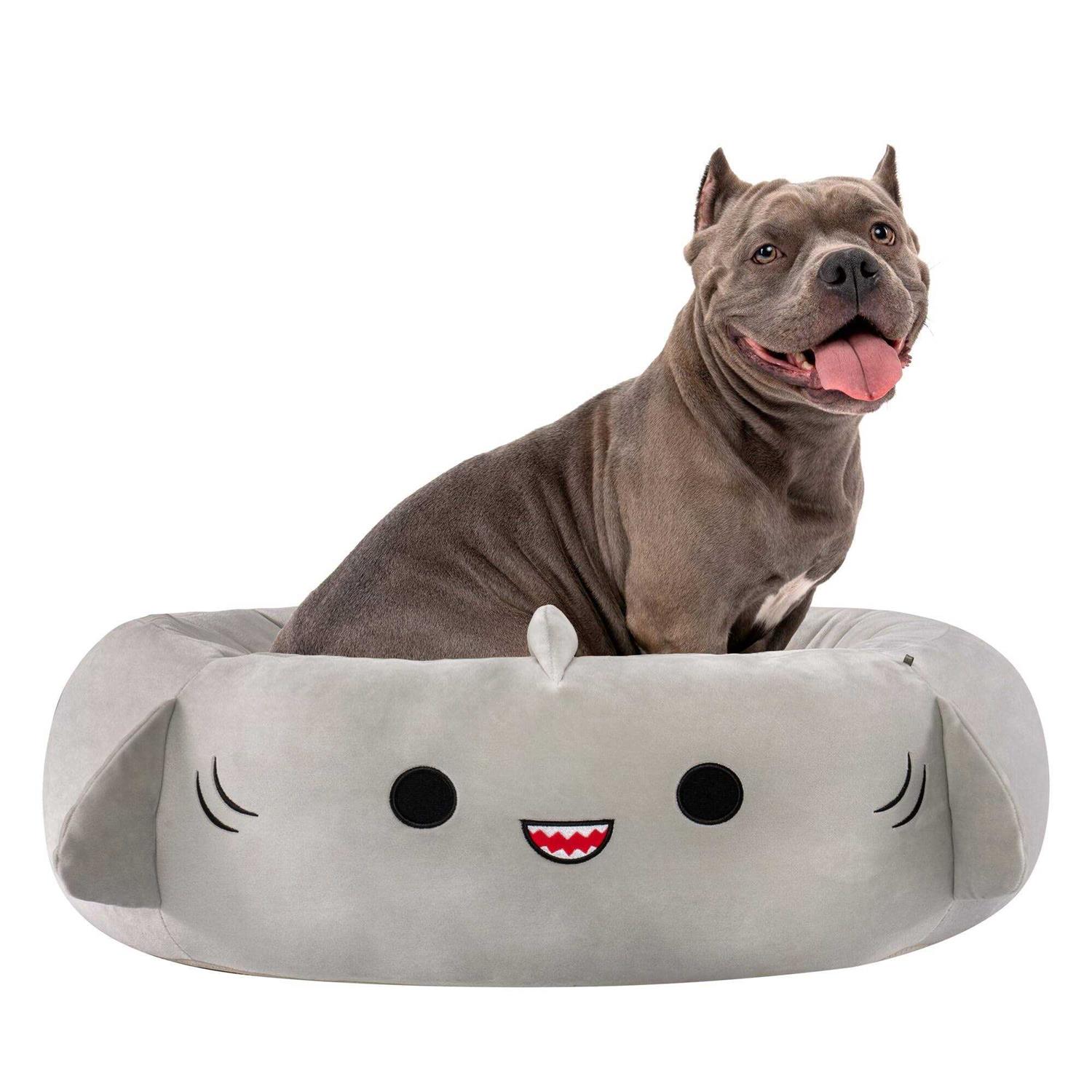 Squishmallows Gordon The Shark Pet Bed - Healthber