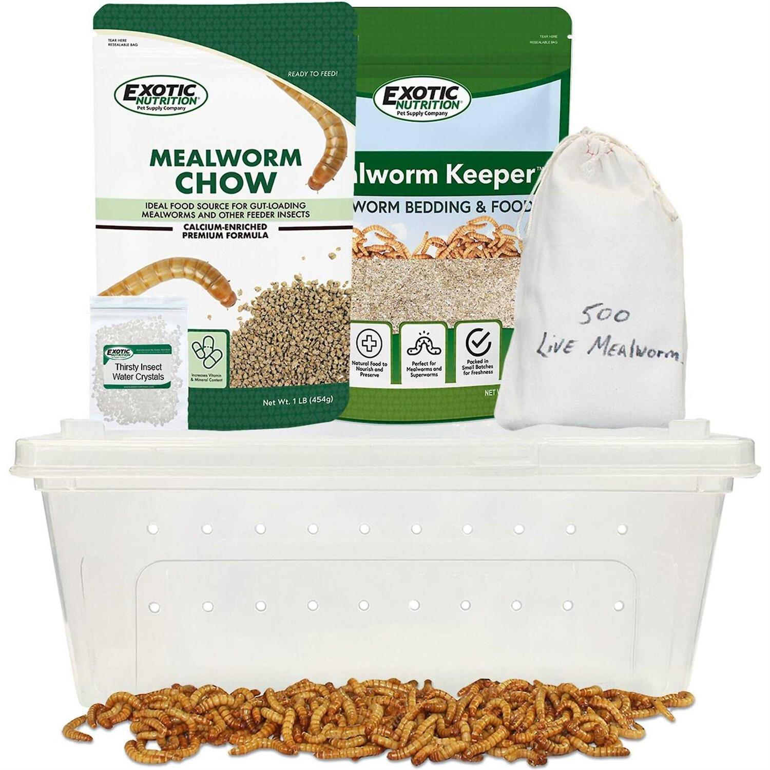Exotic Nutrition Basic Mealworm Breeder Kit - Healthber