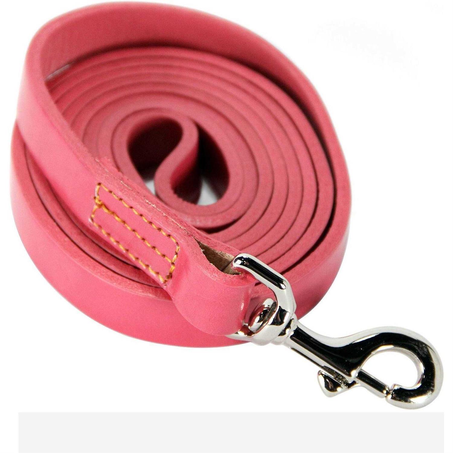 Logical Leather Dog Leash Best for Training - Healthber