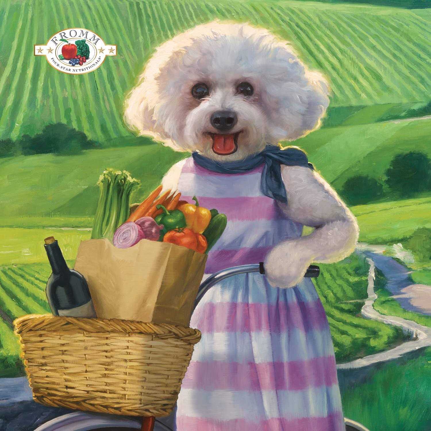 Fromm Four Star Chicken Au Frommage Dog Food - Healthber