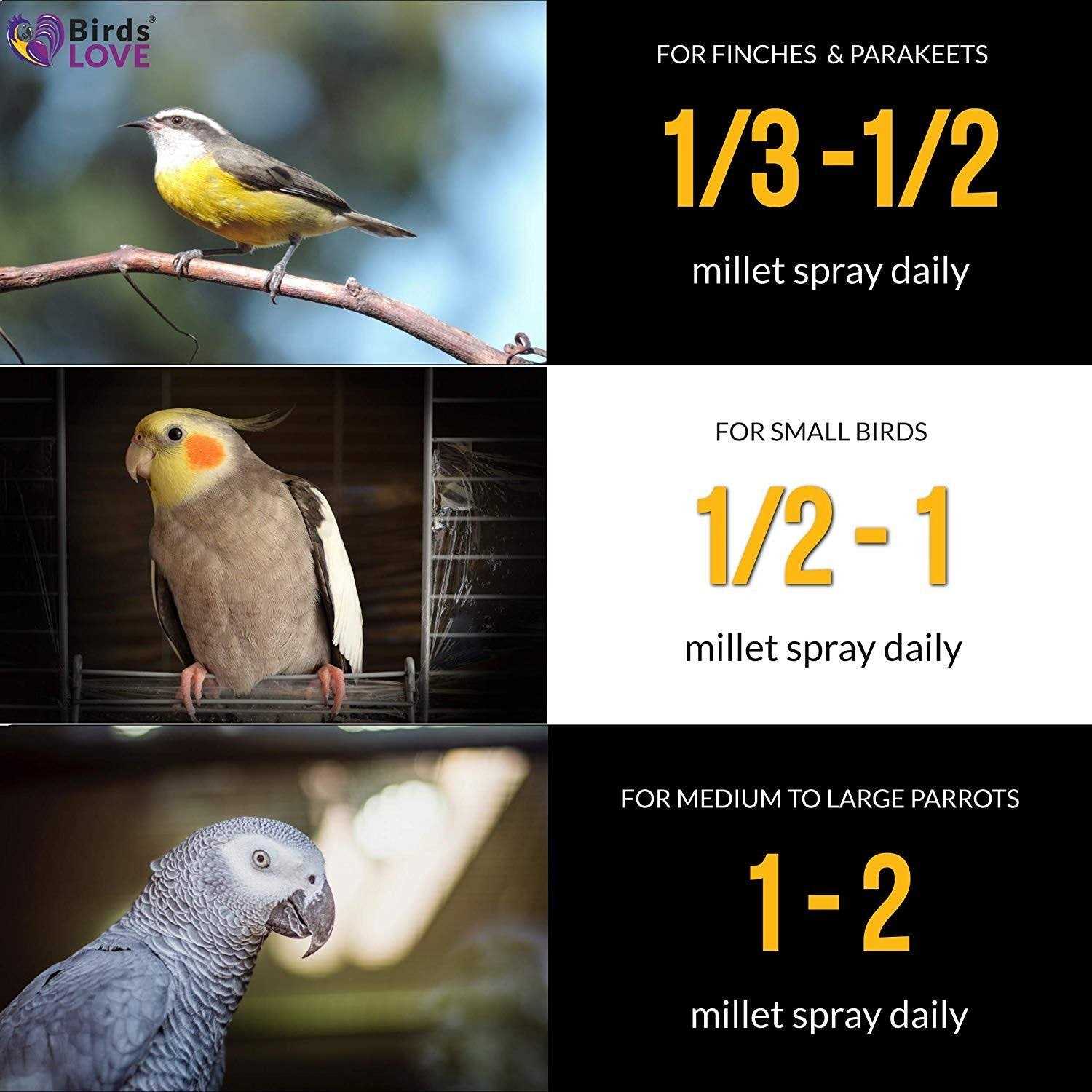 Birds LOVE Wholesome & Lovely Spray Millet GMO Free No Pesticide for Parrots Cockatiel Lovebird Parakeet Finch Canary - Healthber
