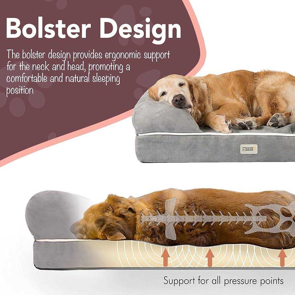 Friends Forever Memory-Foam Orthopedic Dog Bed - Healthber