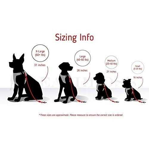 Leash Boss Dog Car Seat Belt Restraint No-Chew Heavy Duty Car Seatbelt for Pets - Healthber