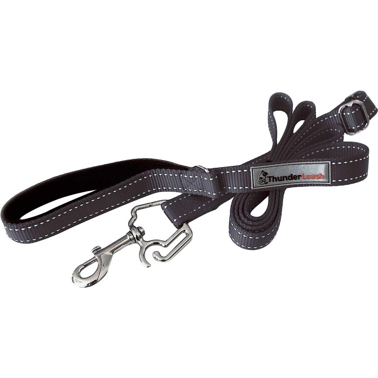 ThunderLeash Dog Leash - Healthber