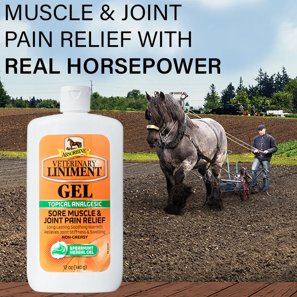 Absorbine Veterinary Liniment Gel - Healthber