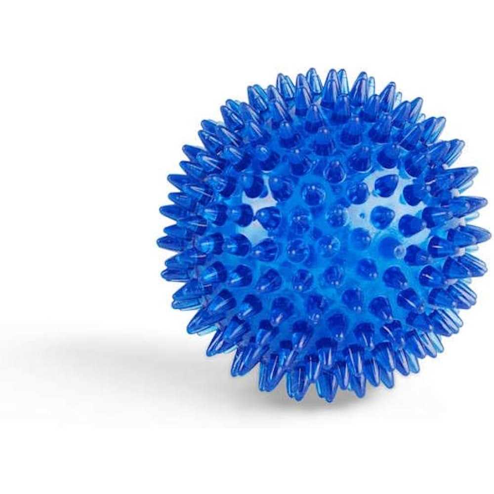Leaps & Bounds Spiny Ball Dog Chew Toy - Healthber
