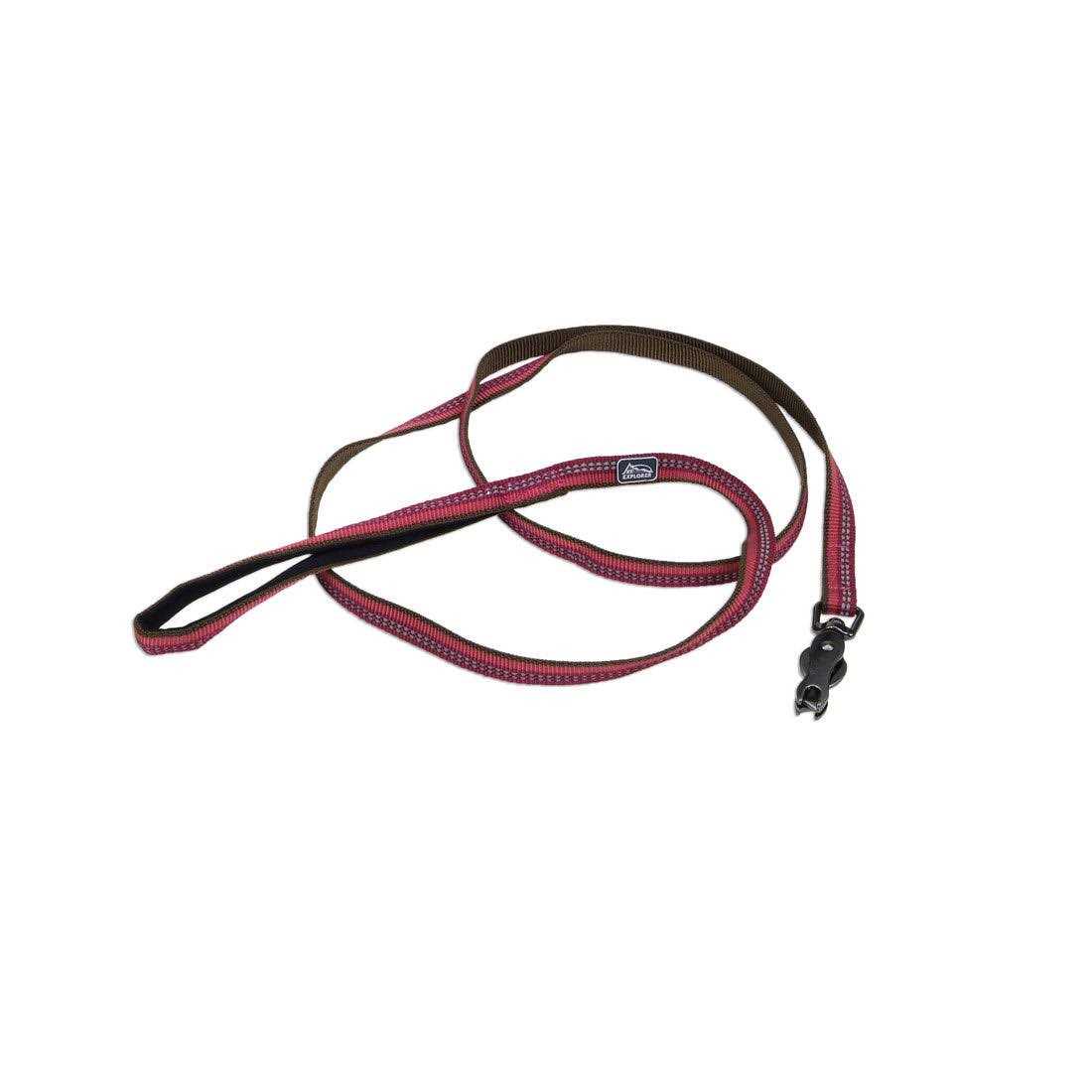 K9 Explorer Reflective Leash with Scissor Snap - Healthber