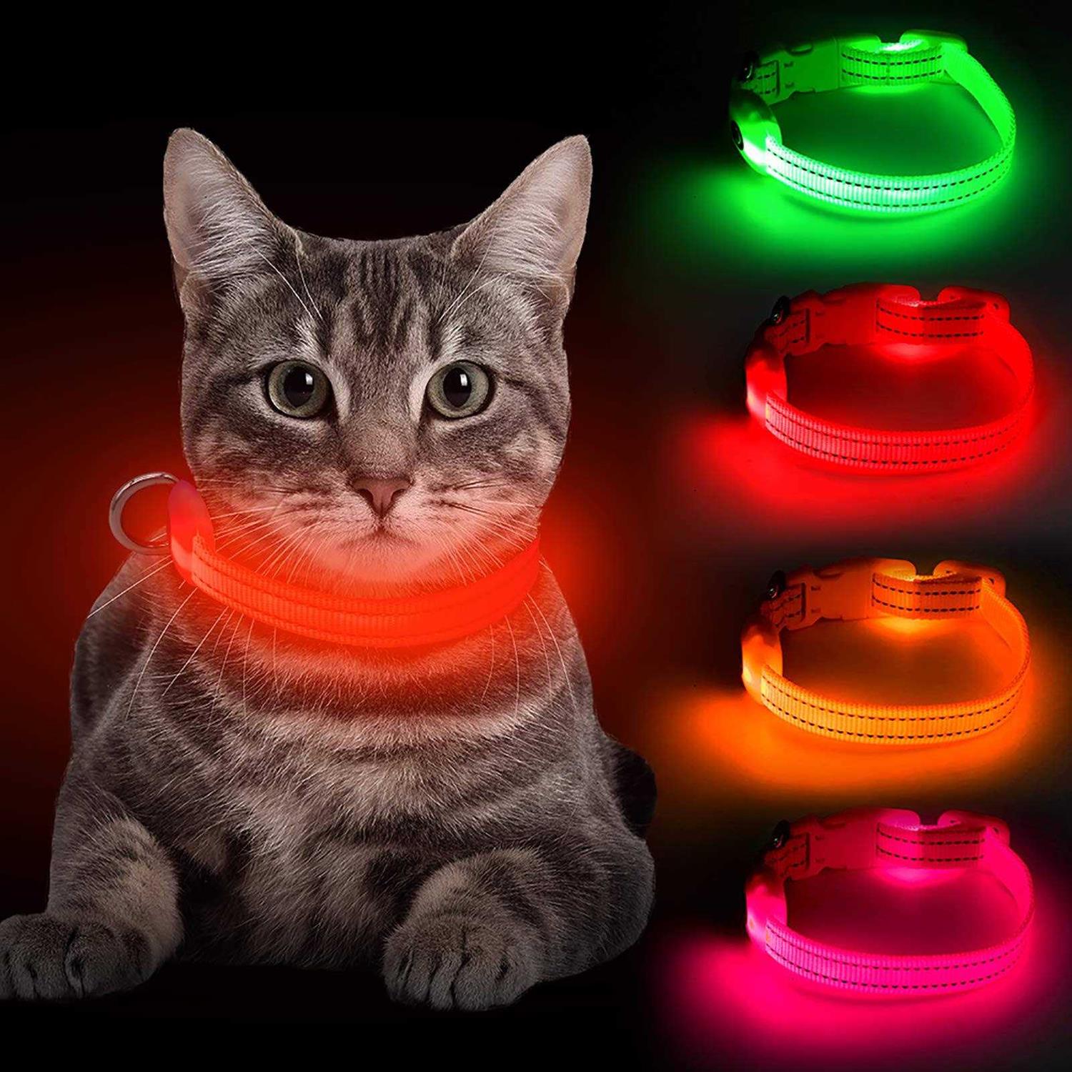 BSEEN Light Dog Collars Rechargeable LED Dog Collar Collar - Healthber