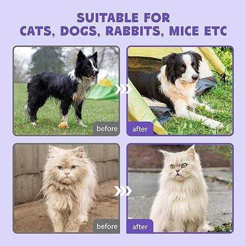 HICC PET Cleaning Deodorizing Bathing Wipes for Dogs and Cats - Healthber