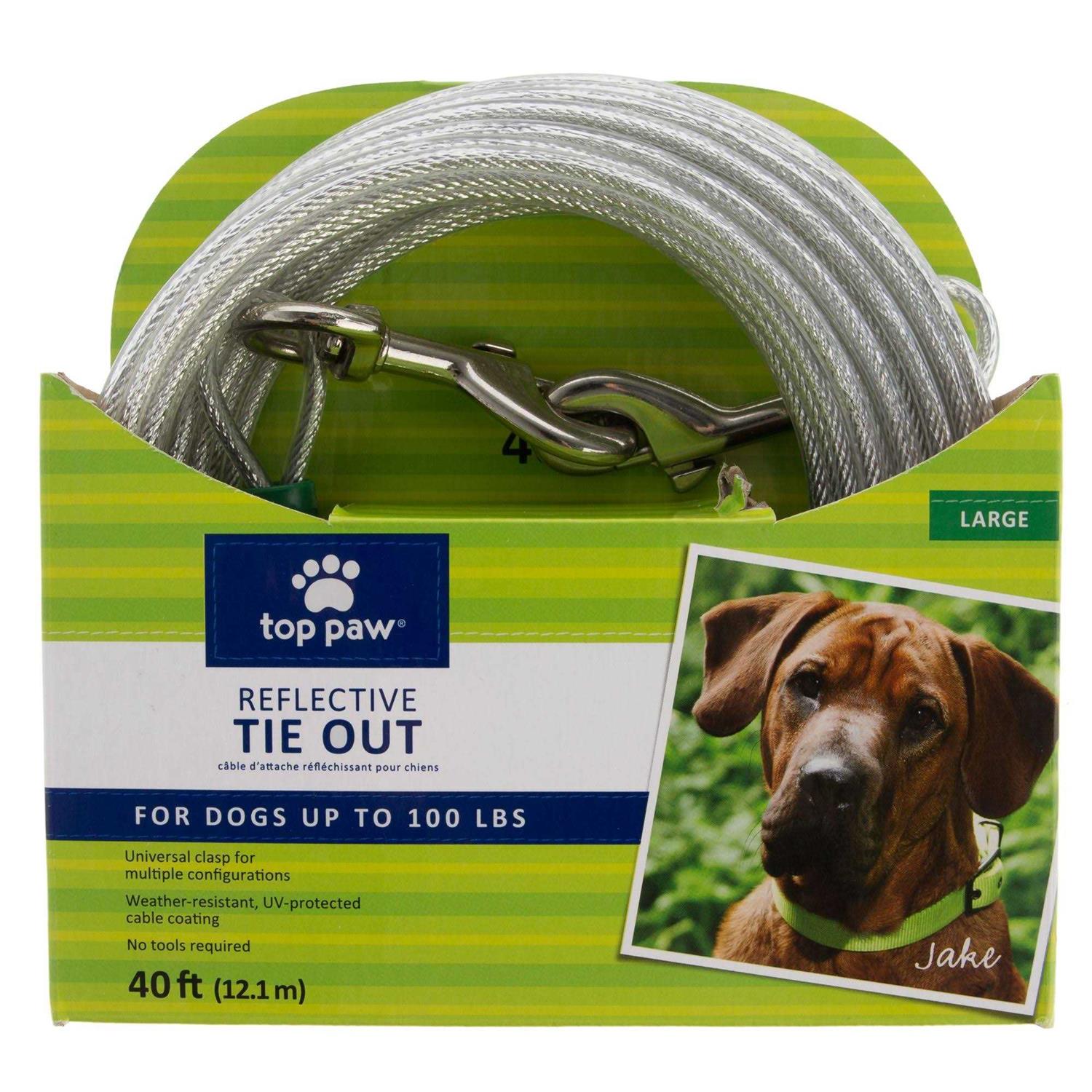 Top Paw Reflective Dog Tie Out - Healthber