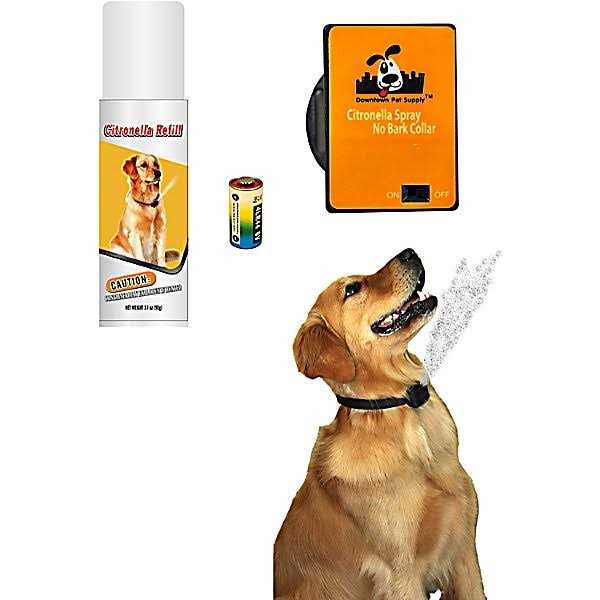 Downtown Pet Supply Citronella Bark Collar - Healthber