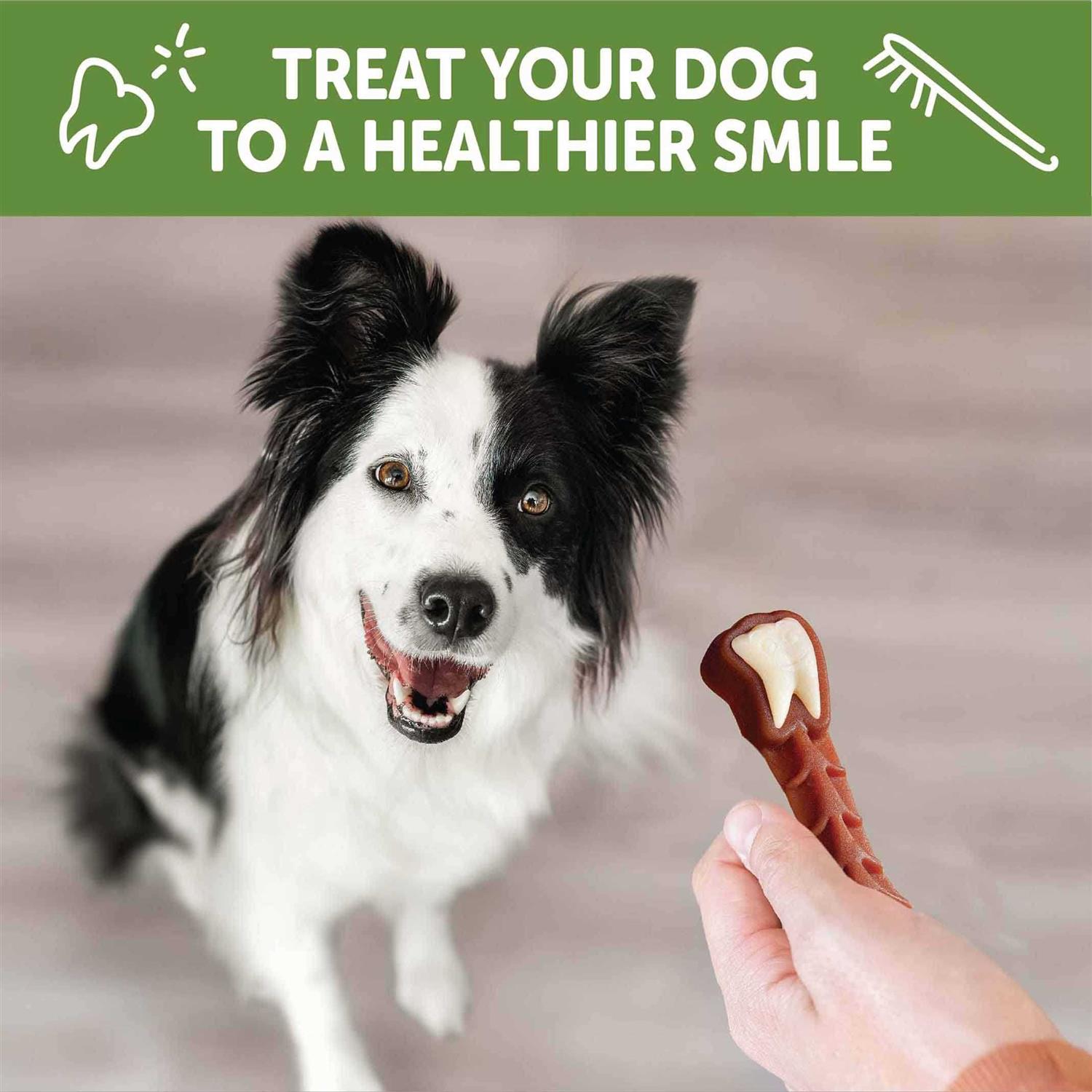 Whimzees Brushzees Dental Treats - Healthber