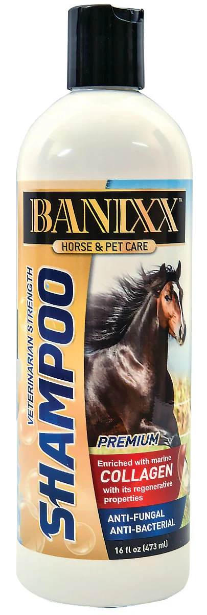 Banixx Veterinary Strength Shampoo, 16 oz - Healthber